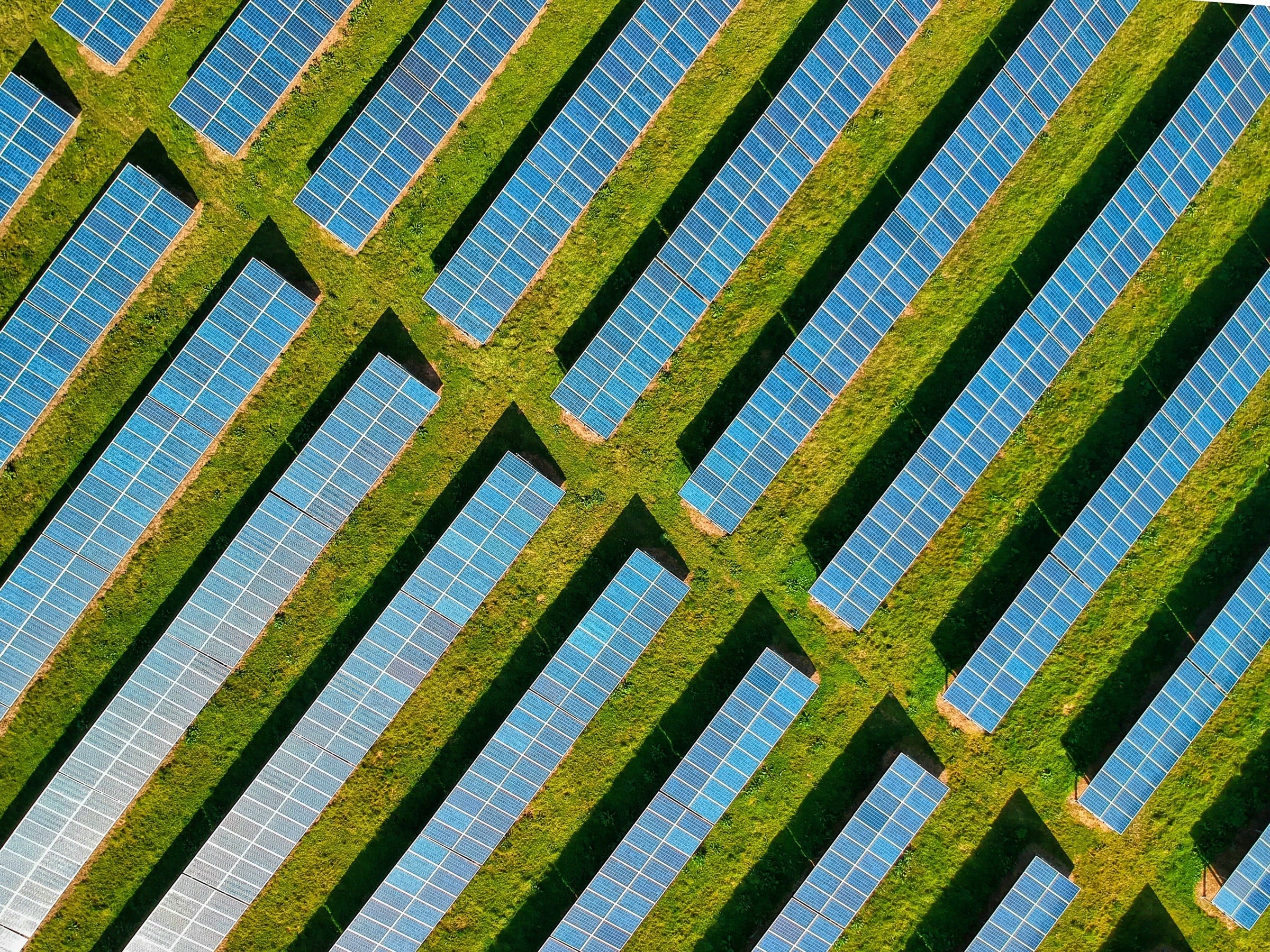 Aerial view of solar panel rows with one row flagged for vegetation encroachment since the last survey