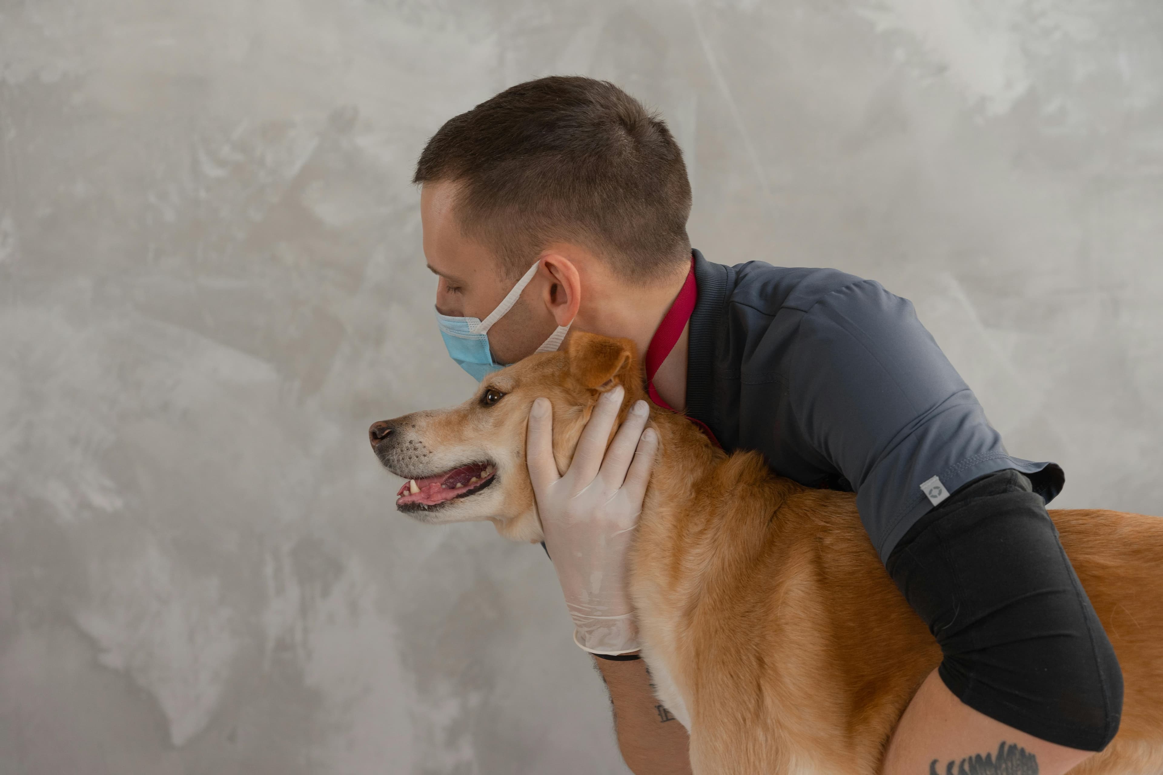 A behaviourist working with a dog at home